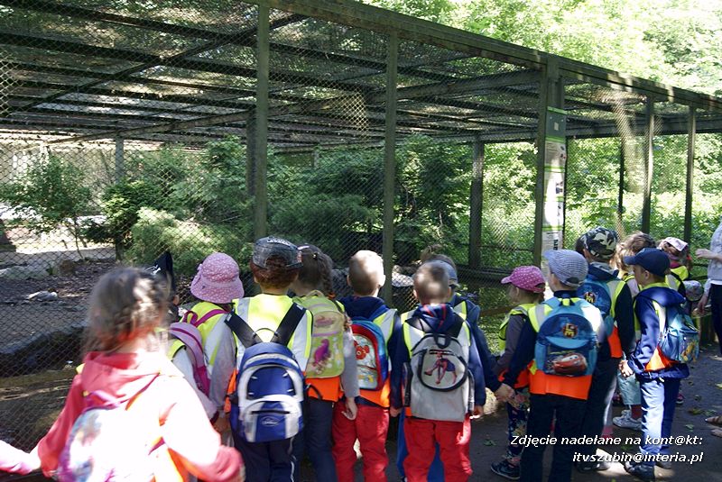 W Myślęcinku fajnie jest