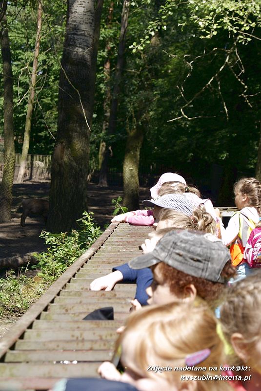 W Myślęcinku fajnie jest