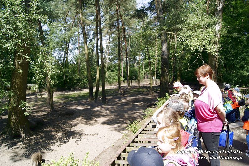 W Myślęcinku fajnie jest