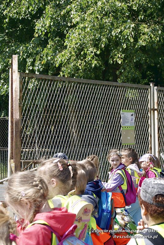 W Myślęcinku fajnie jest