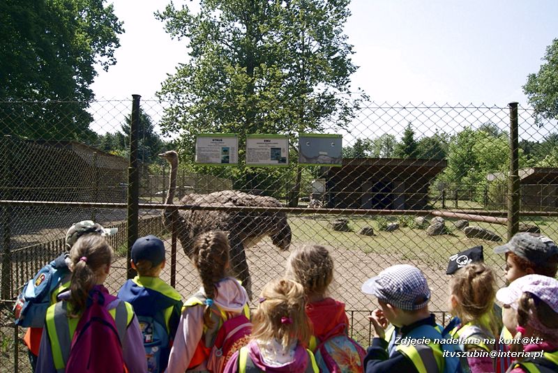 W Myślęcinku fajnie jest