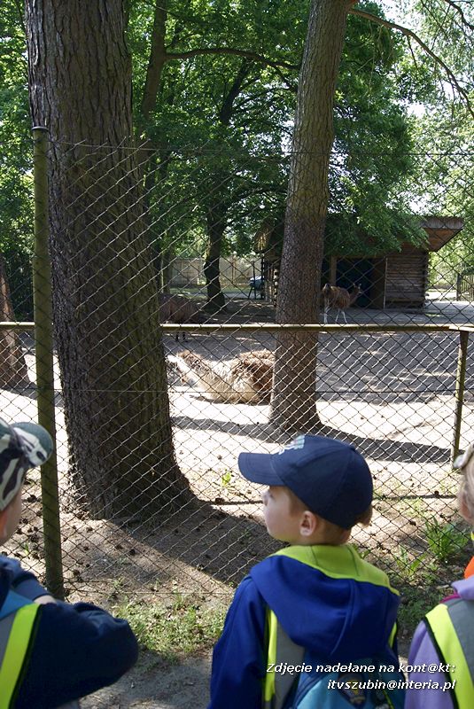 W Myślęcinku fajnie jest