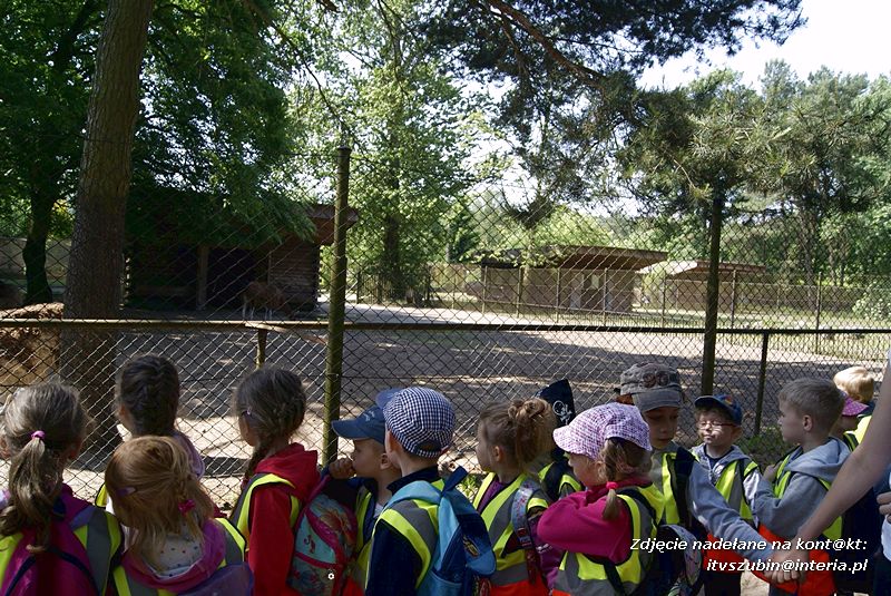 W Myślęcinku fajnie jest