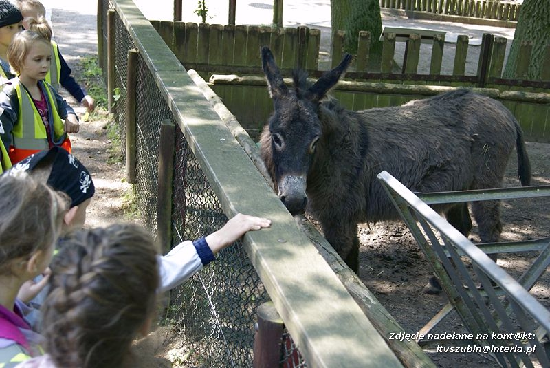 W Myślęcinku fajnie jest