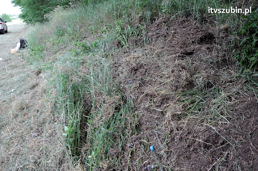 Dachowanie osobówki w Nowym Świecie