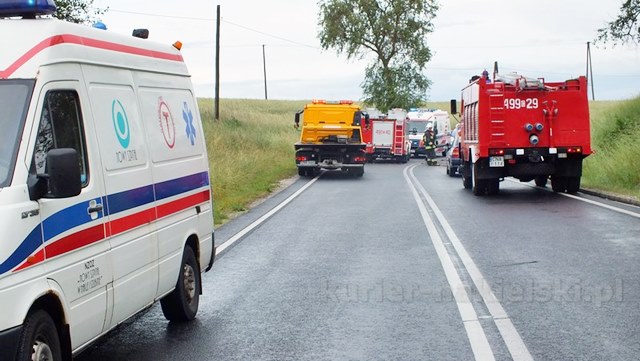 Dachowanie w Paterku