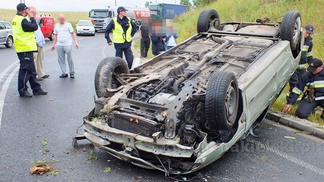 Dachowanie w Paterku
