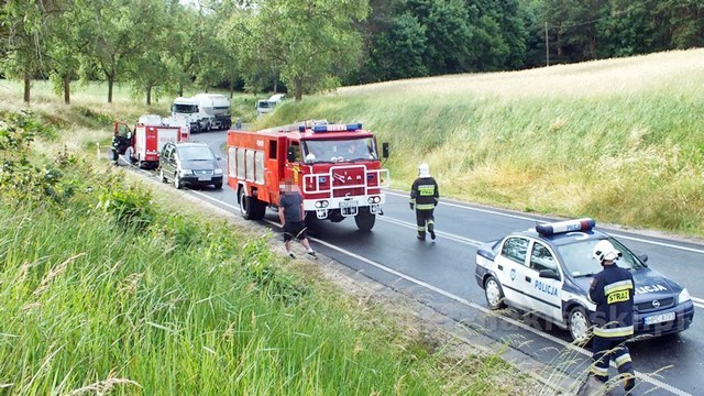 Dachowanie w Paterku