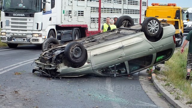 Dachowanie w Paterku