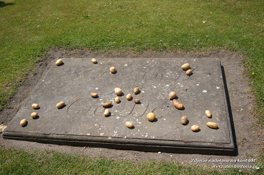 Licealiści w Bergen