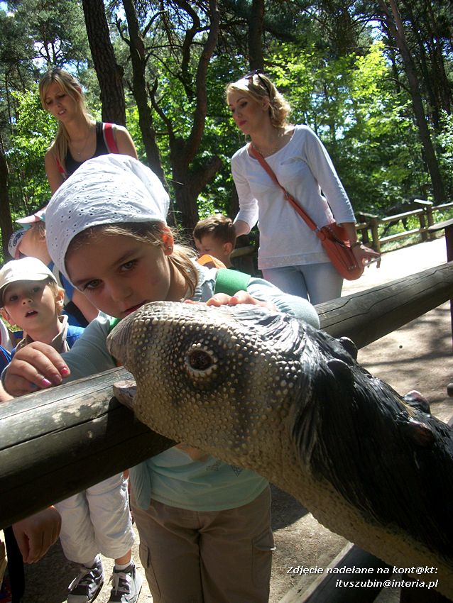 Zakończenie roku szkolnego z Dinozaurami !!!