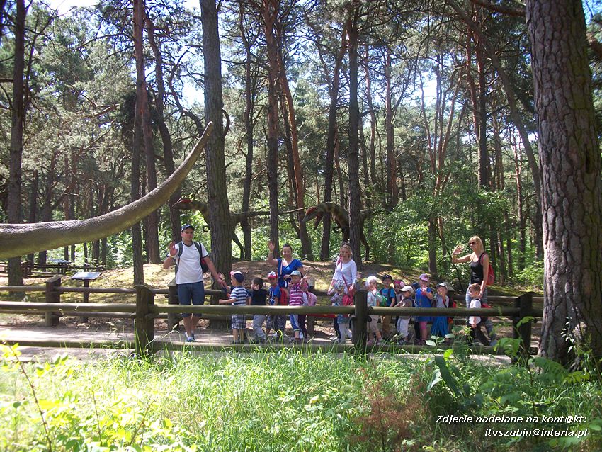 Zakończenie roku szkolnego z Dinozaurami !!!