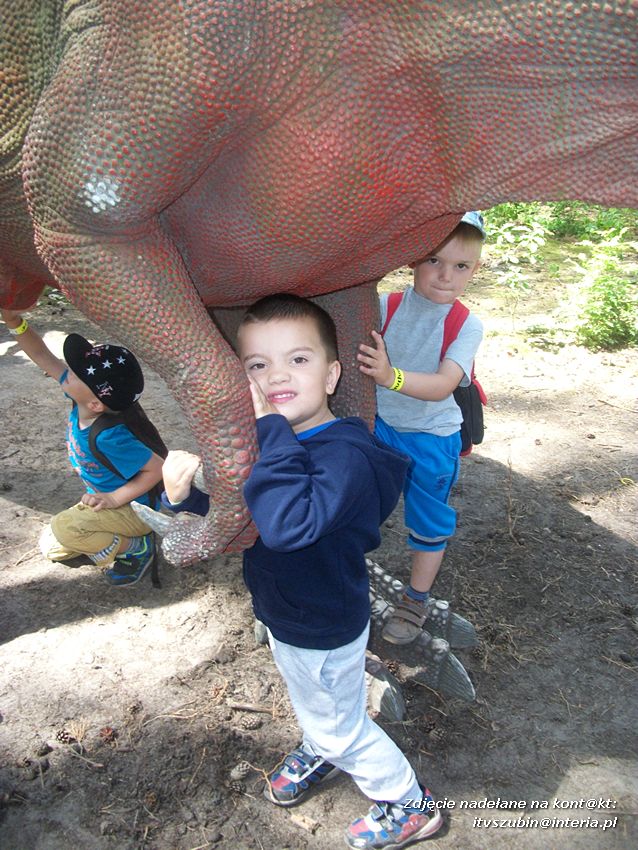 Zakończenie roku szkolnego z Dinozaurami !!!