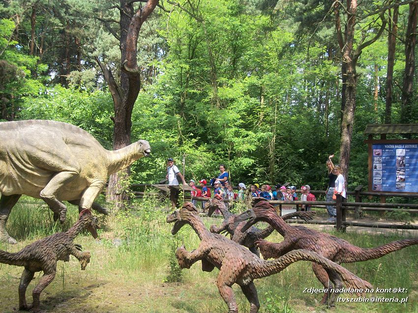 Zakończenie roku szkolnego z Dinozaurami !!!