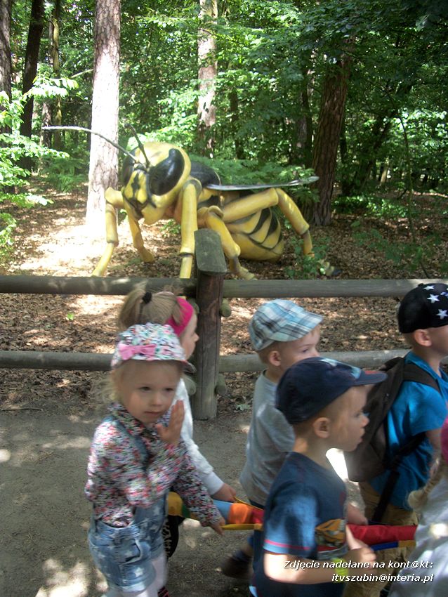 Zakończenie roku szkolnego z Dinozaurami !!!