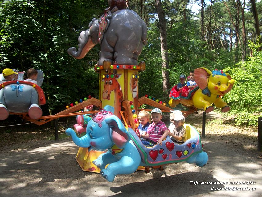 Zakończenie roku szkolnego z Dinozaurami !!!