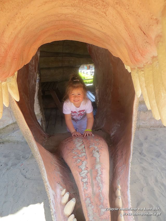 Zakończenie roku szkolnego z Dinozaurami !!!