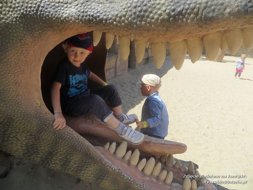 Zakończenie roku szkolnego z Dinozaurami !!!