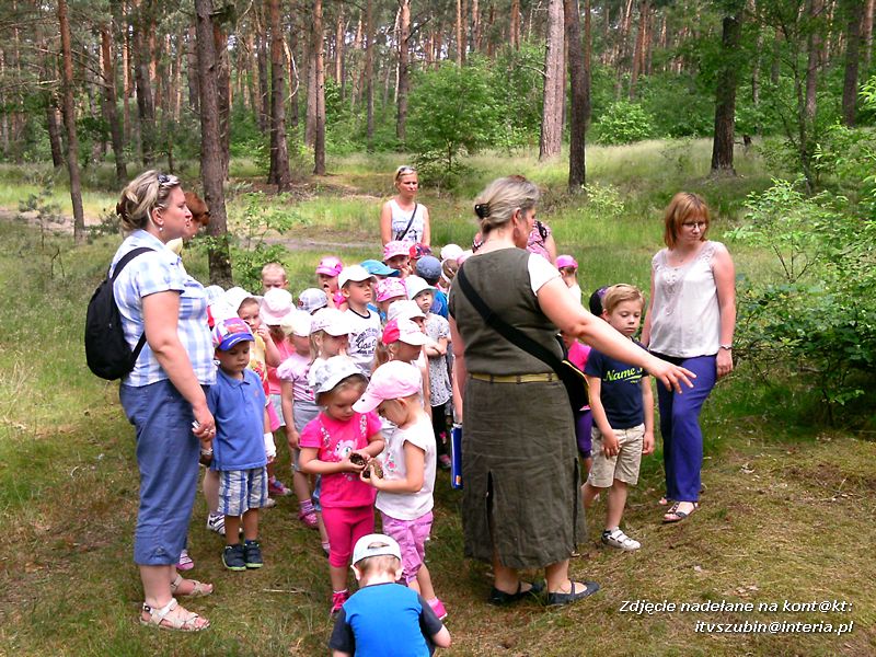 Słoneczka i Biedronki? na wycieczce w Brzózkach