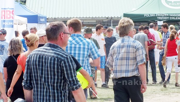 Rozpoczęły się Targi AGROTECH w Minikowie