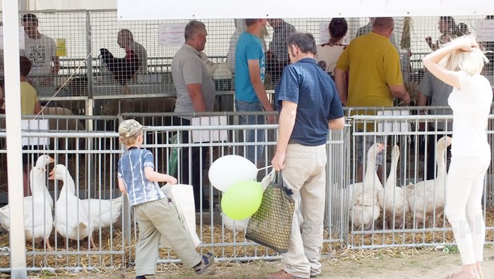 Rozpoczęły się Targi AGROTECH w Minikowie
