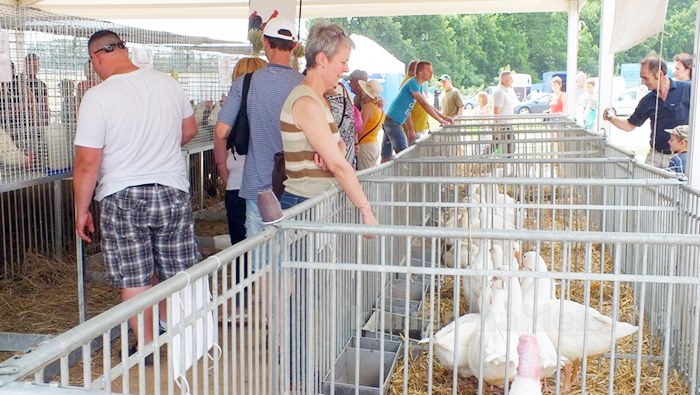 Rozpoczęły się Targi AGROTECH w Minikowie