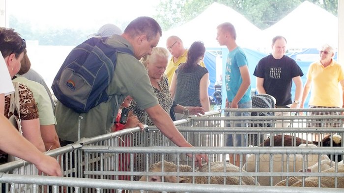Rozpoczęły się Targi AGROTECH w Minikowie