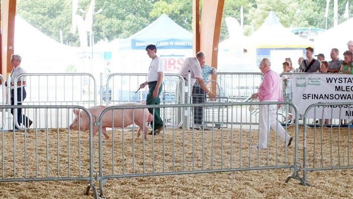 Rozpoczęły się Targi AGROTECH w Minikowie