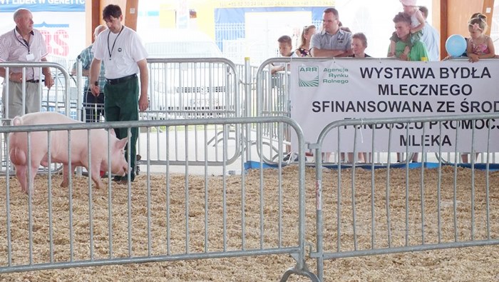 Rozpoczęły się Targi AGROTECH w Minikowie