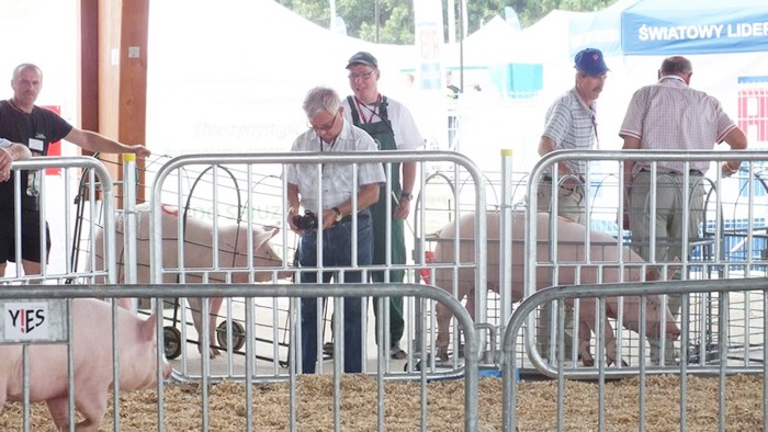 Rozpoczęły się Targi AGROTECH w Minikowie