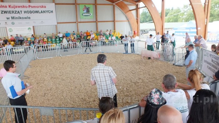 Rozpoczęły się Targi AGROTECH w Minikowie