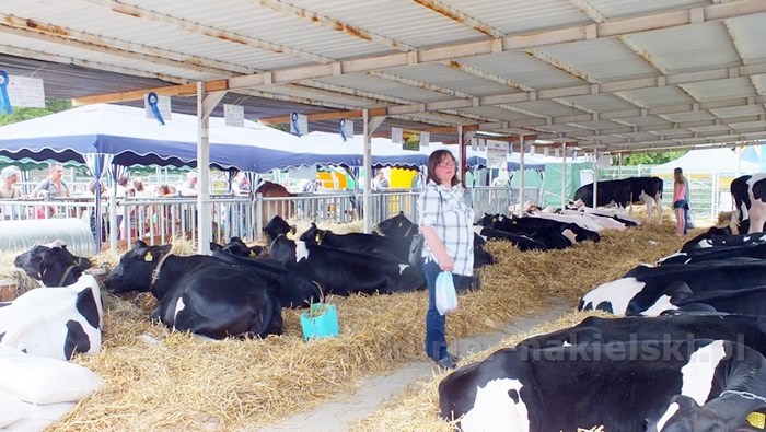 Rozpoczęły się Targi AGROTECH w Minikowie