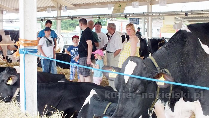 Rozpoczęły się Targi AGROTECH w Minikowie