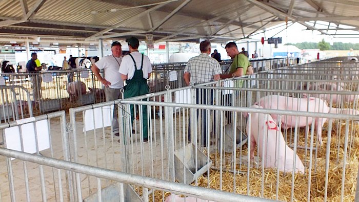 Rozpoczęły się Targi AGROTECH w Minikowie