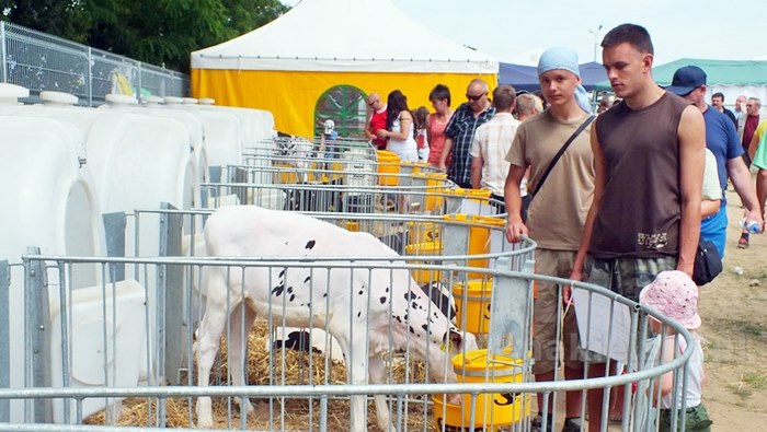 Rozpoczęły się Targi AGROTECH w Minikowie