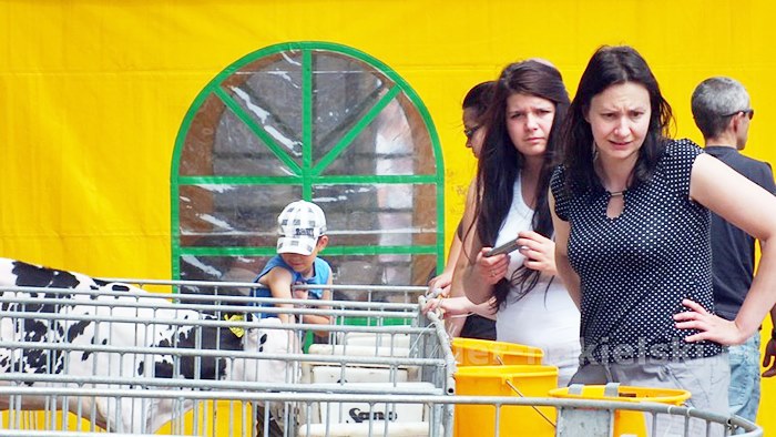 Rozpoczęły się Targi AGROTECH w Minikowie