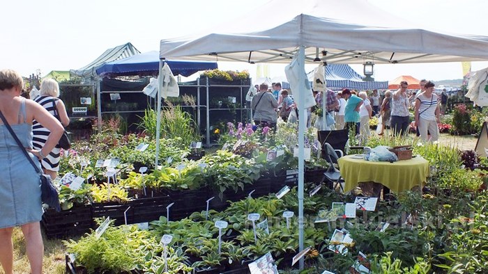 Zakończyły się Targi AGRO-TECH w Minikowie