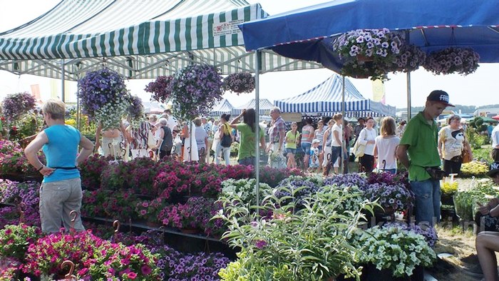Zakończyły się Targi AGRO-TECH w Minikowie