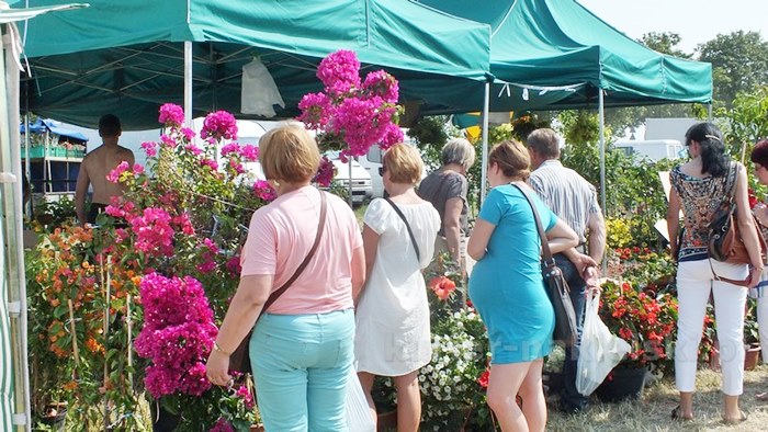 Zakończyły się Targi AGRO-TECH w Minikowie