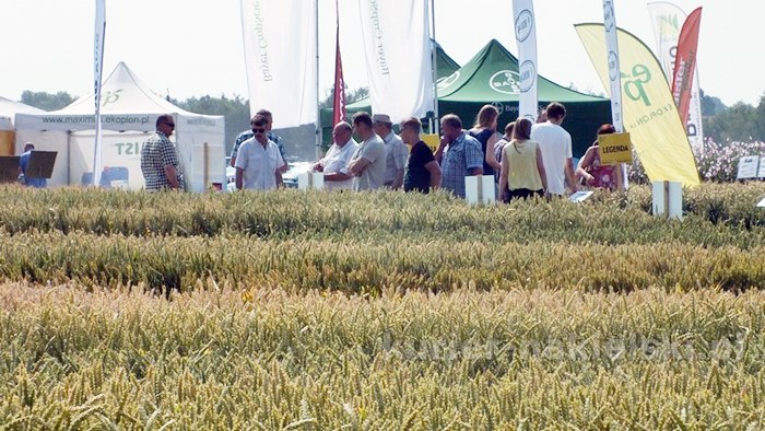 Zakończyły się Targi AGRO-TECH w Minikowie