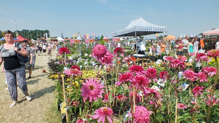Zakończyły się Targi AGRO-TECH w Minikowie