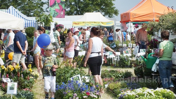 Zakończyły się Targi AGRO-TECH w Minikowie