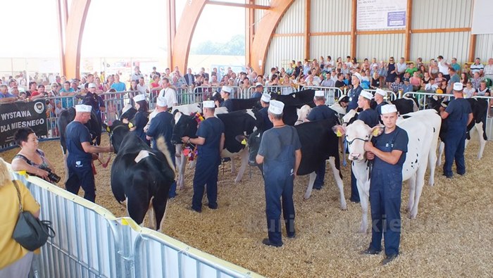 Zakończyły się Targi AGRO-TECH w Minikowie