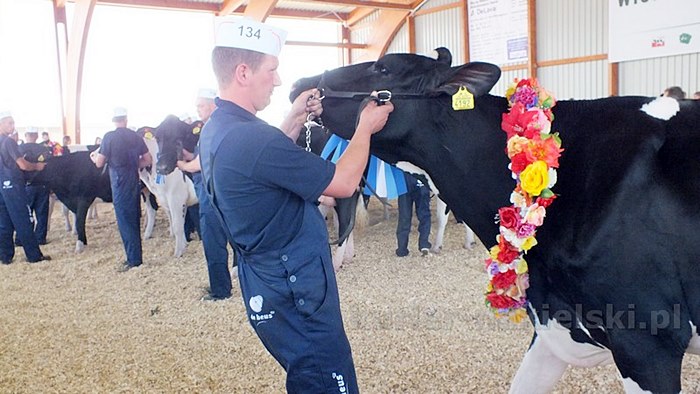 Zakończyły się Targi AGRO-TECH w Minikowie