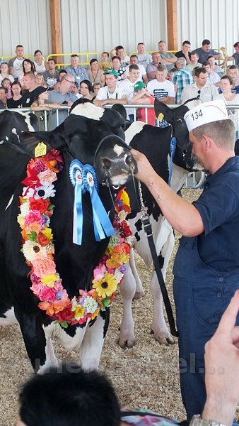 Zakończyły się Targi AGRO-TECH w Minikowie