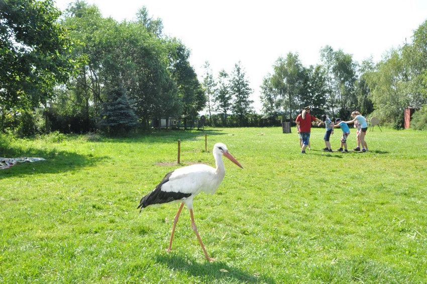 Dzieci z Szubina na Ranczo u Amadeusza