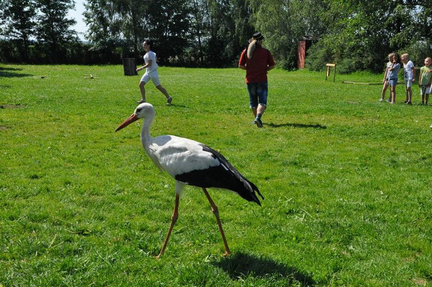 Dzieci z Szubina na Ranczo u Amadeusza