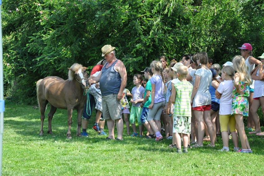 Dzieci z Szubina na Ranczo u Amadeusza