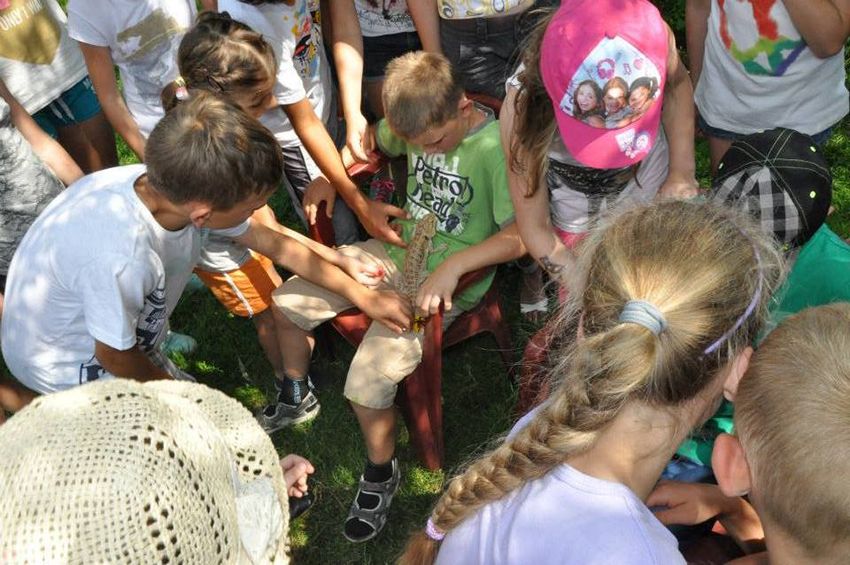 Dzieci z Szubina na Ranczo u Amadeusza