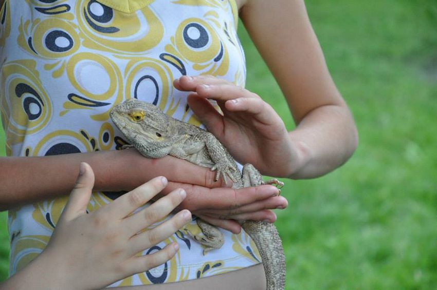 Dzieci z Szubina na Ranczo u Amadeusza